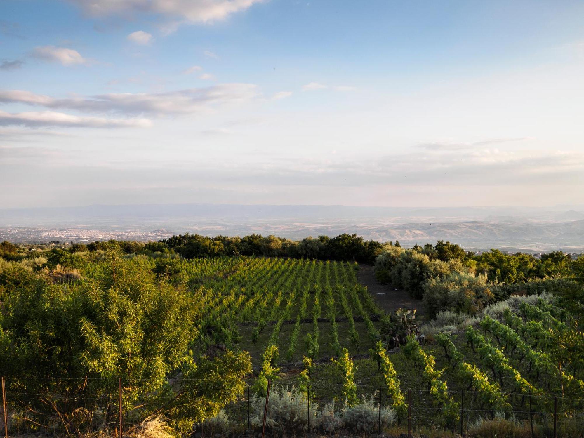 Podere Dell'Etna Segreta - Essential Nature Hotel & Glamping Biancavilla Exterior foto